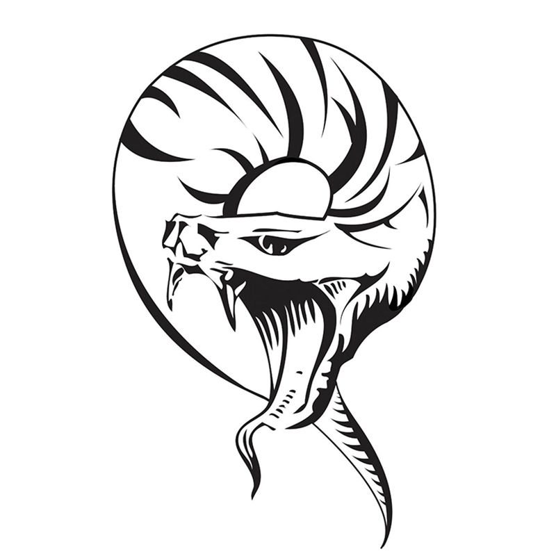 

16*10cm Die Cut Vinyl Decal Snake Viper Dragon horrible Car Accessories Motorcycle Helmet Car Styling, Color