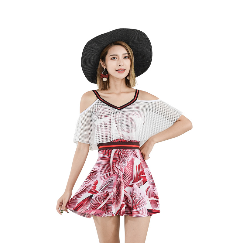 

2019 Ladies Bathing Suit Female Siamese Skirt Type Thin Conservative Small Chest Gather Sexy Hot Spring Swimsuit