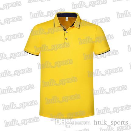 

2656 Sports polo Ventilation Quick-drying Hot sales Top quality men 201d T9 Short sleeve-shirt comfortable new style jersey1785958, Brown