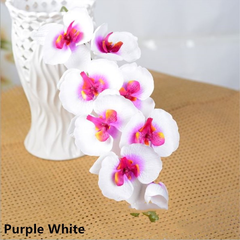 Purple White
