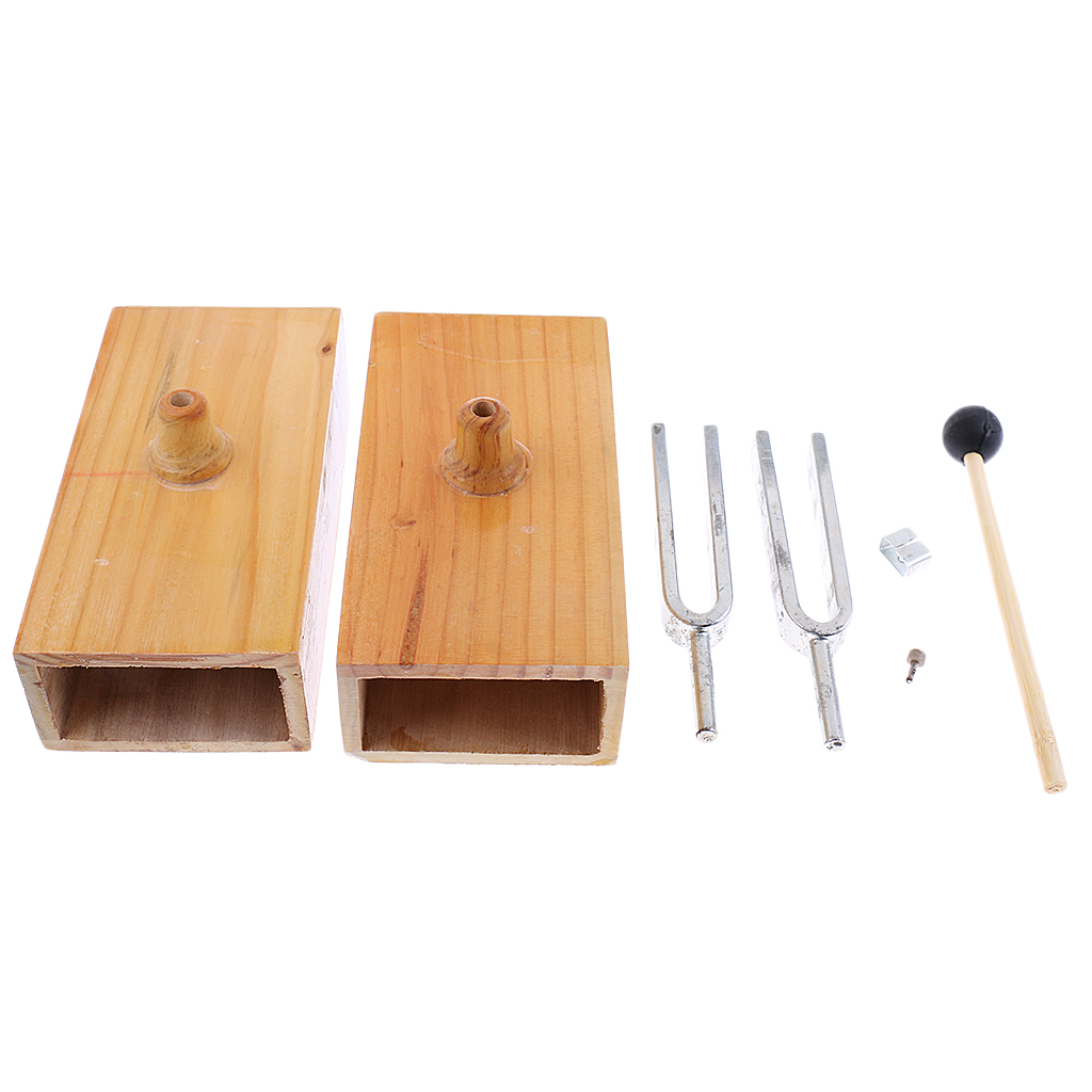 

440HZ Resonance Tuning Fork Steel Fork Teaching Fork Scientific Physical Acoustics Laboratory Instrument