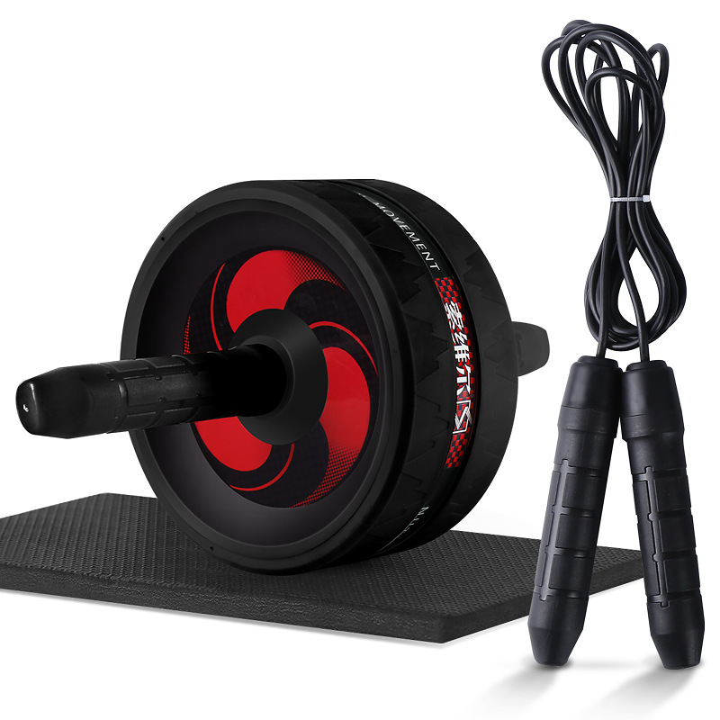 

2 in 1 Ab Roller&Jump Rope No Noise Abdominal Wheel Ab Roller with Mat for Home Gym Muscle Arm Waist Exercise Fitness Equipment, Blue
