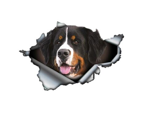 

Bernese Mountain Dog For Auto Car/Bumper/Window/Wall Decal Sticker Decals DIY Decor CT6315