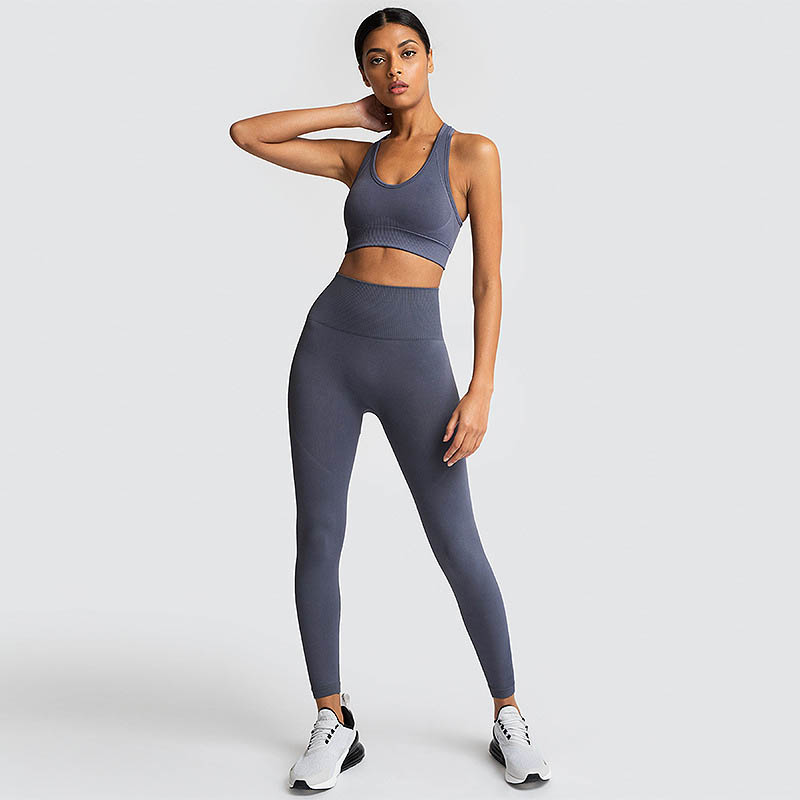 

Women Sports Yoga Sets Solid High Waist Running Suits Ladies Elastic Seamless Fitness Wear Designer Top Quality Sportswear 05, #1