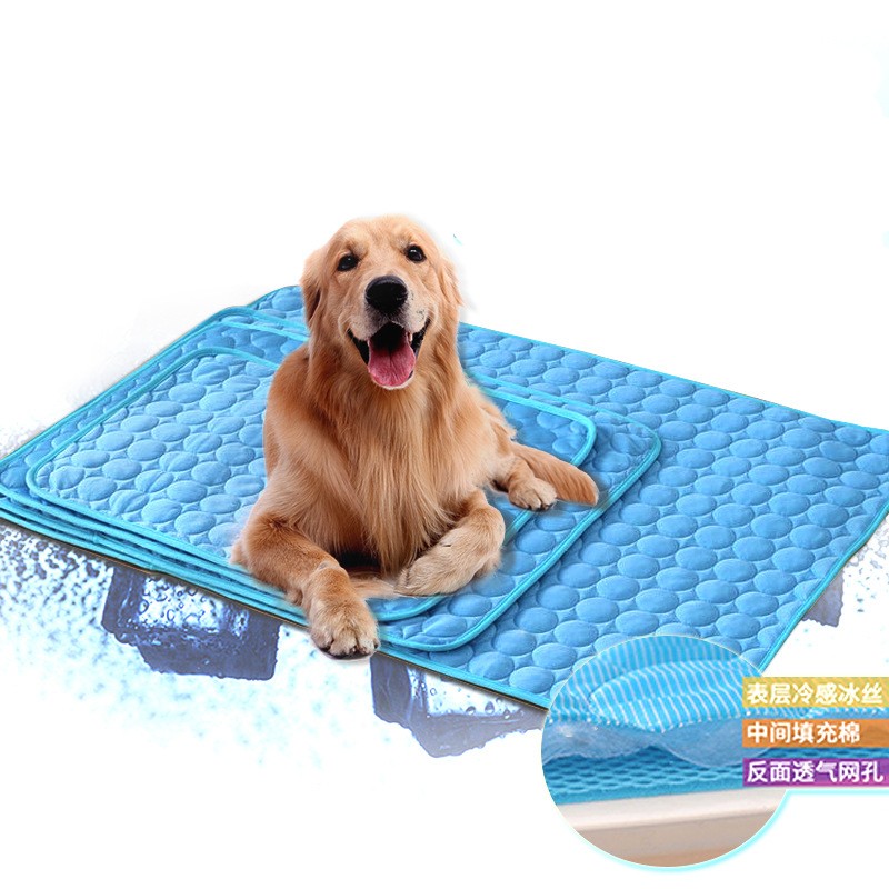 pets at home dog beds