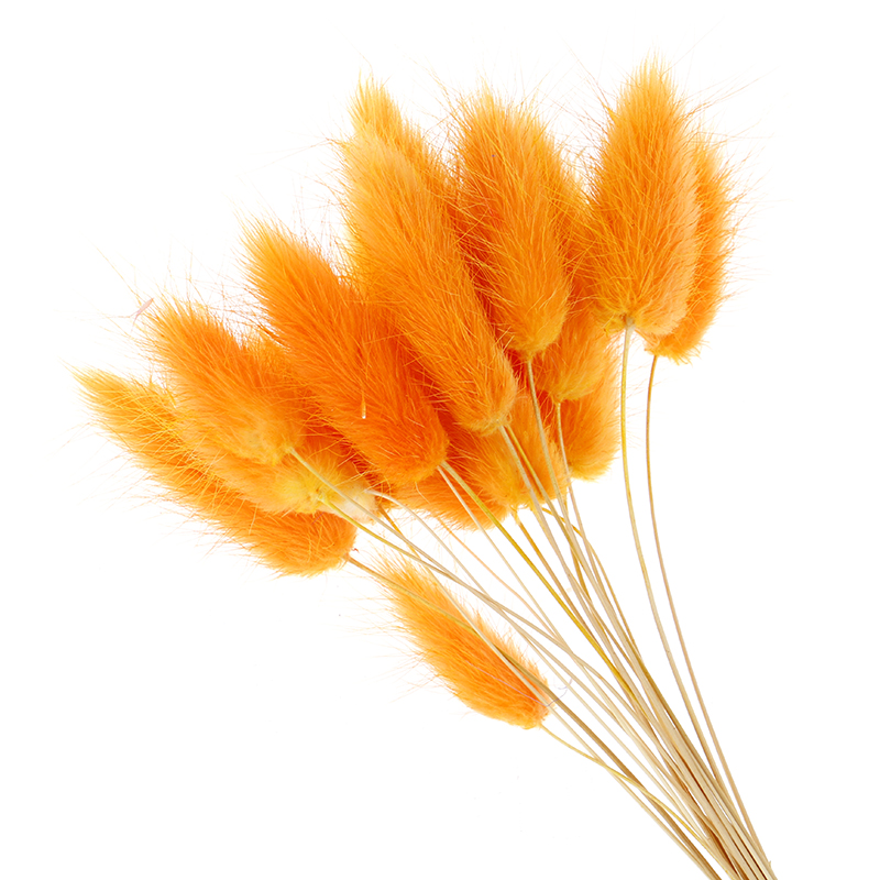 

50pcs/lot Long Branch Natural Dried Flowers Colorful Plush Artificial Flowers Fake Rabbit Tail Foxtail Grass for Home Decoration Accessories, White