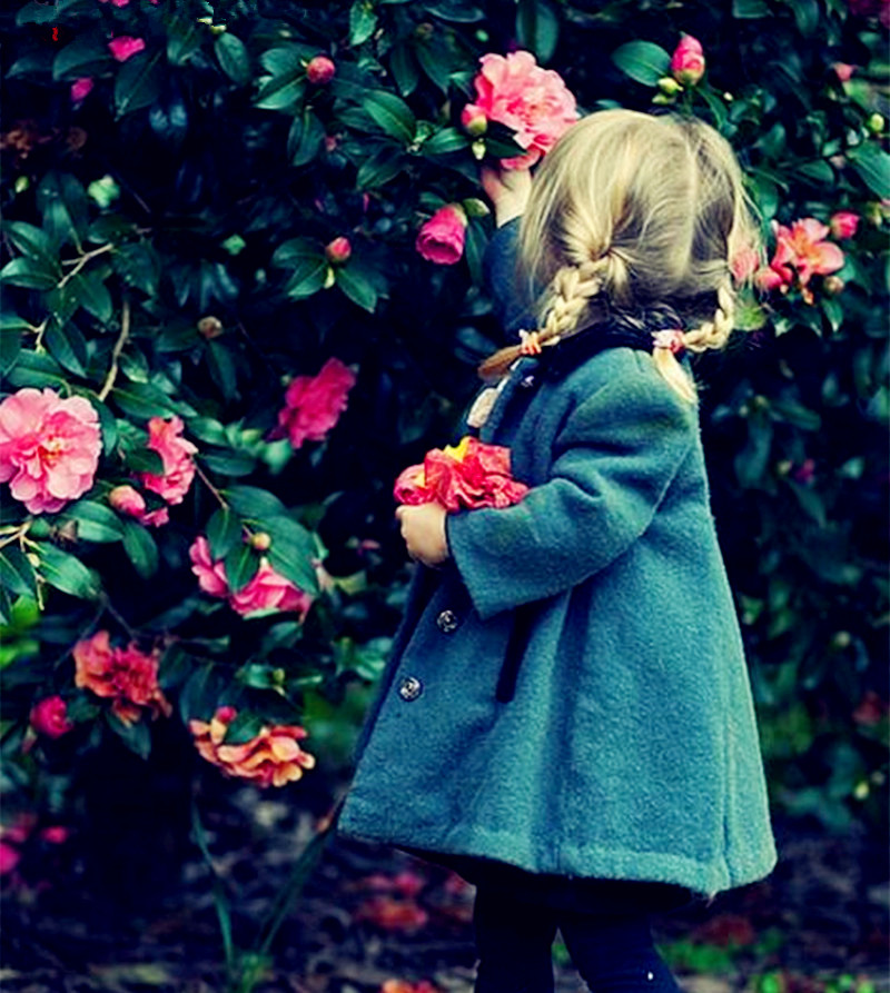 

Hot Sale! 10 Pcs Camellia Seeds, Bonsai Flower Seeds, Rare Color, Indoor / Outdoor Bonsai Pot Plant for Home Garden Easy to Grow