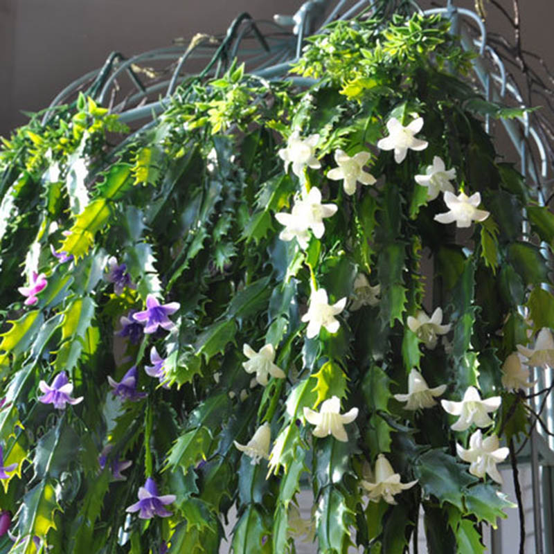 

Simulation Artificial Plant Rattan Vivid Hanging Decoration for Festival Home Wedding RT99, Purple