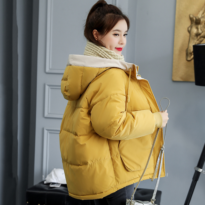 

Fashion Hooded Parka Retrieve Jas Jas Complete Mouw Rits Womens Winter Jassen New 2019 Cato Female Jacket Executor, Beige