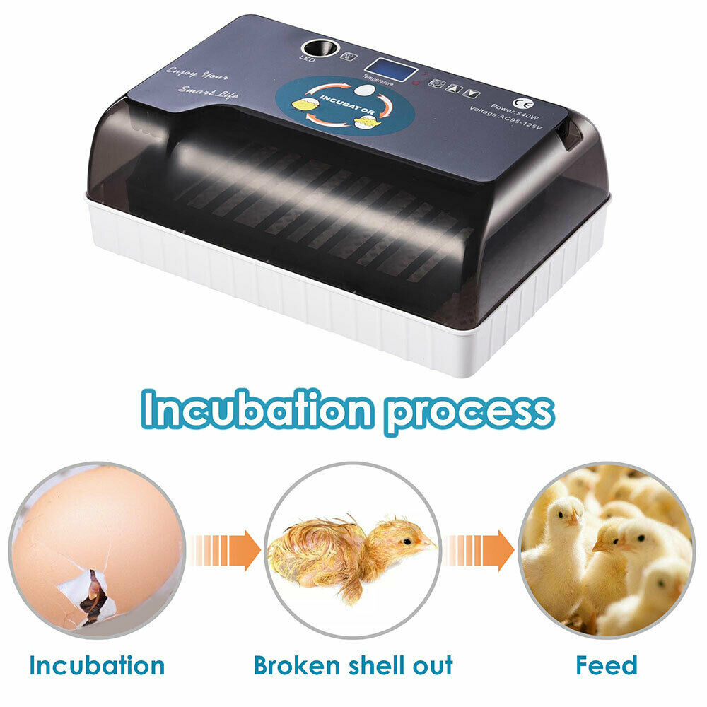 

12 Eggs Incubator Automatic Digital Farm Duck Chicken Hatcher Turning LED Lamp