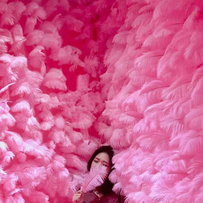 

200pcs/pack 10-12 inch Ostrich Feather Plume Craft Supplies Wedding Party Table Centerpieces/web celebrity wall Decoration Hat accessories