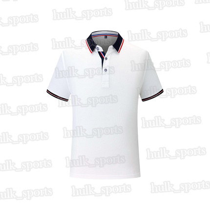 

2656 Sports polo Ventilation Quick-drying Hot sales Top quality men 201d T9 Short sleeve-shirt comfortable new style jersey1440155, Brown