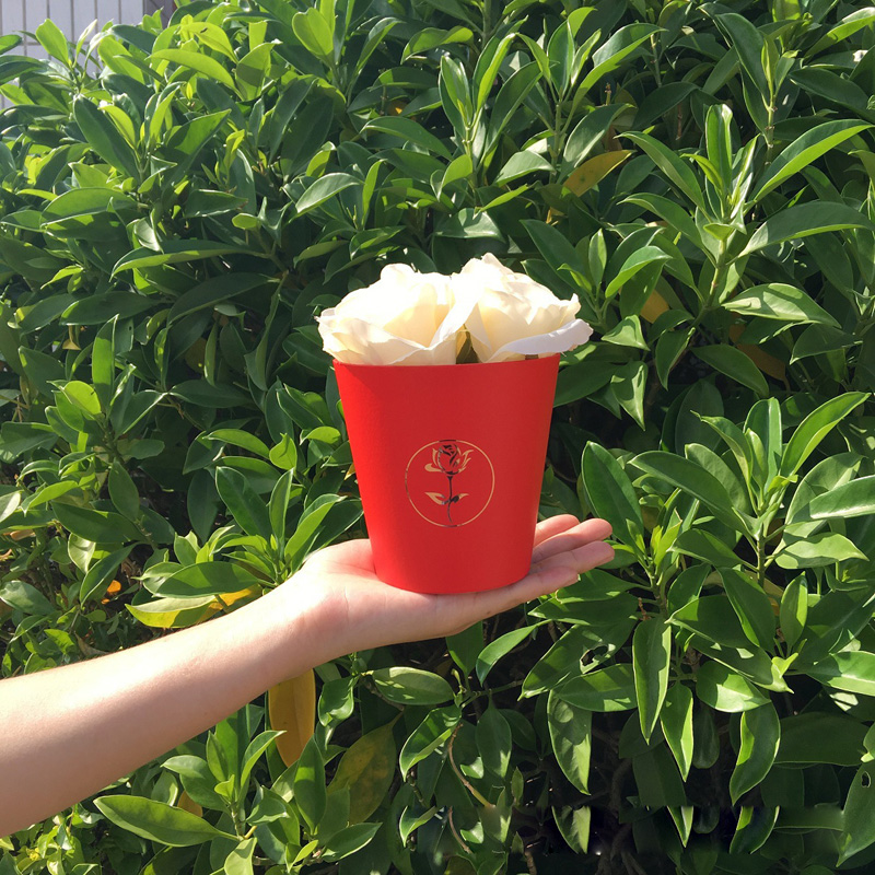 

50pcs a Set Mini flower bucket / potted packaging.w9335