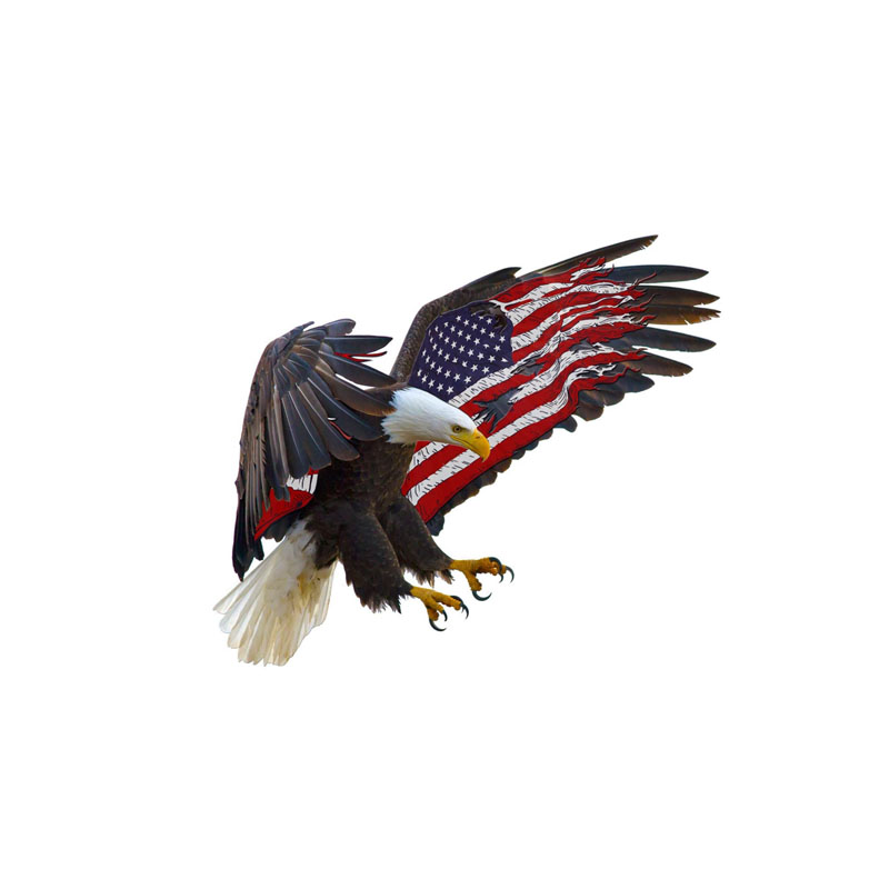 Car Accessories Motorcycle Eagle Decal Car Sticker PVC 14CM*11.8CM-image-492567523
