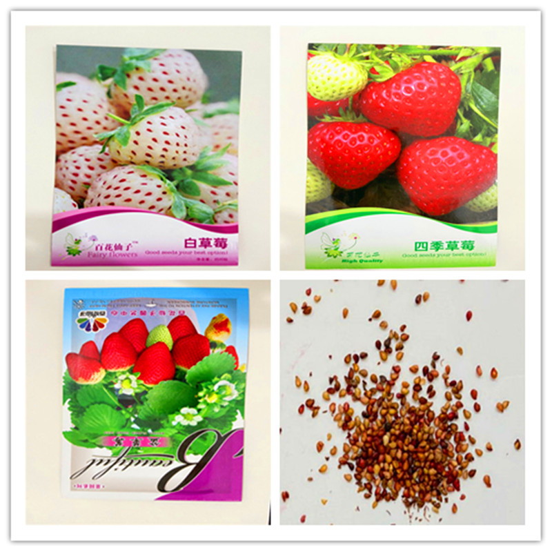 

1 pack Original package Strawberry seeds Flores Organic Berry Fruit Plantas Vegetables Non-Gmo Bonsai Pot For Home Garden