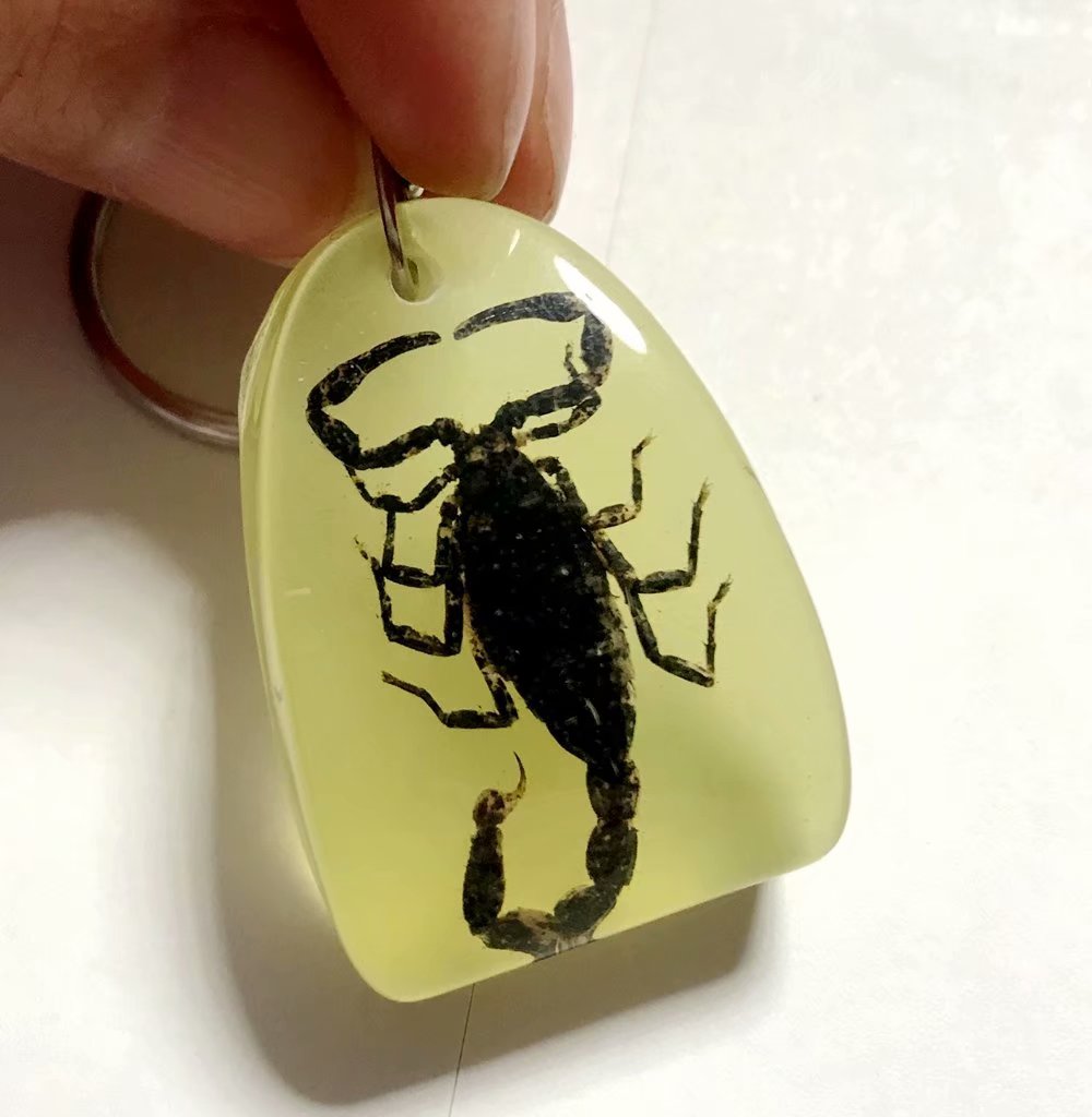 

FREE SHIPPING Discount Sale Creative 50 pcs Scorpion Taxidermy Cool N 7 Jewelry Keychain, Black