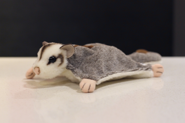 stuffed sugar glider