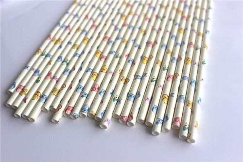 Environmental Paper