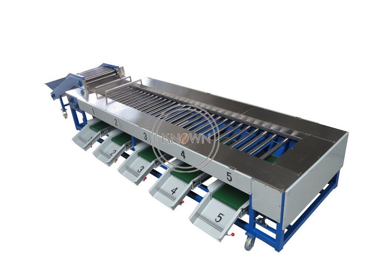 

Dragon Fruit Sorting Machine Mango Fruit Grading Machine Sorting