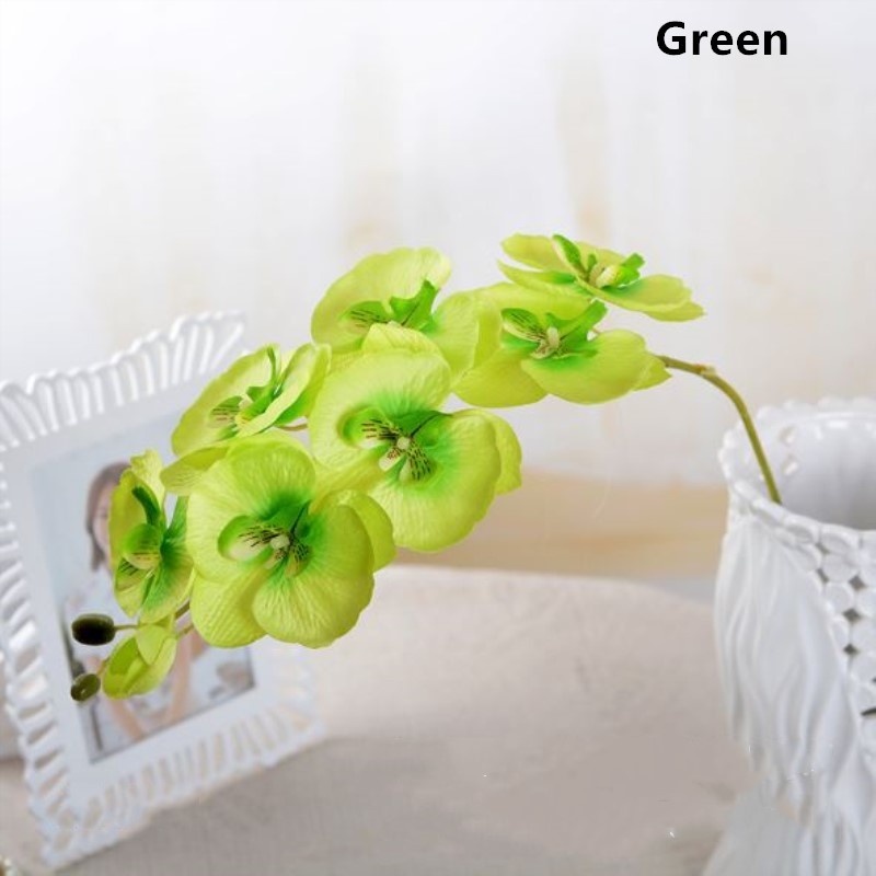 Green Phalaenopsis