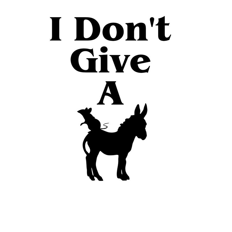 

15*11cm I dont give a ratsass Funny Car Window Bumper Novelty JDM Drift Vinyl Decal Sticker, Color