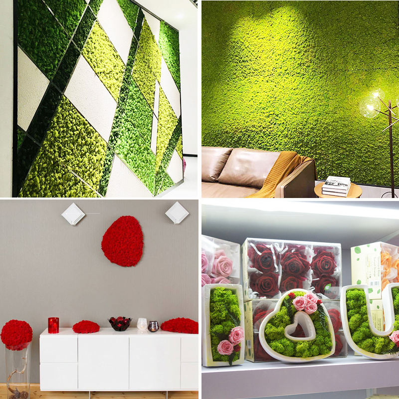 

High quality artificial green plant immortal fake flower Moss grass home living room decorative wall DIY flower mini accessories