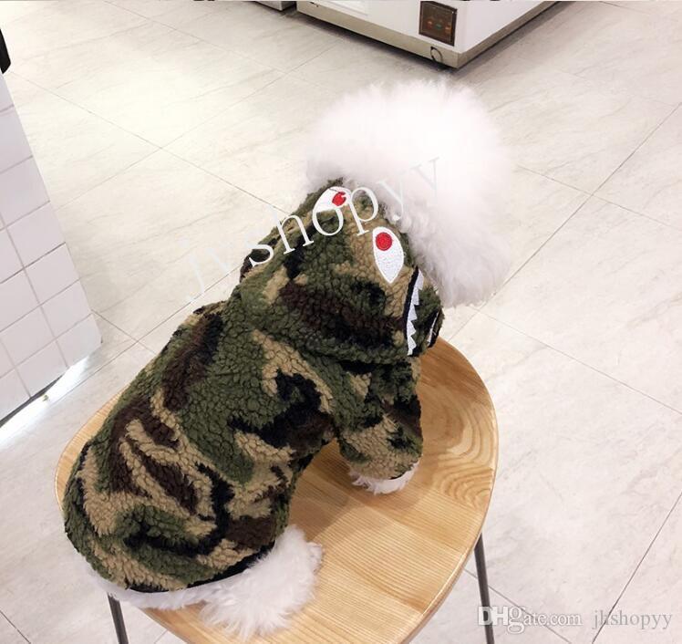 teddy bear cats for sale