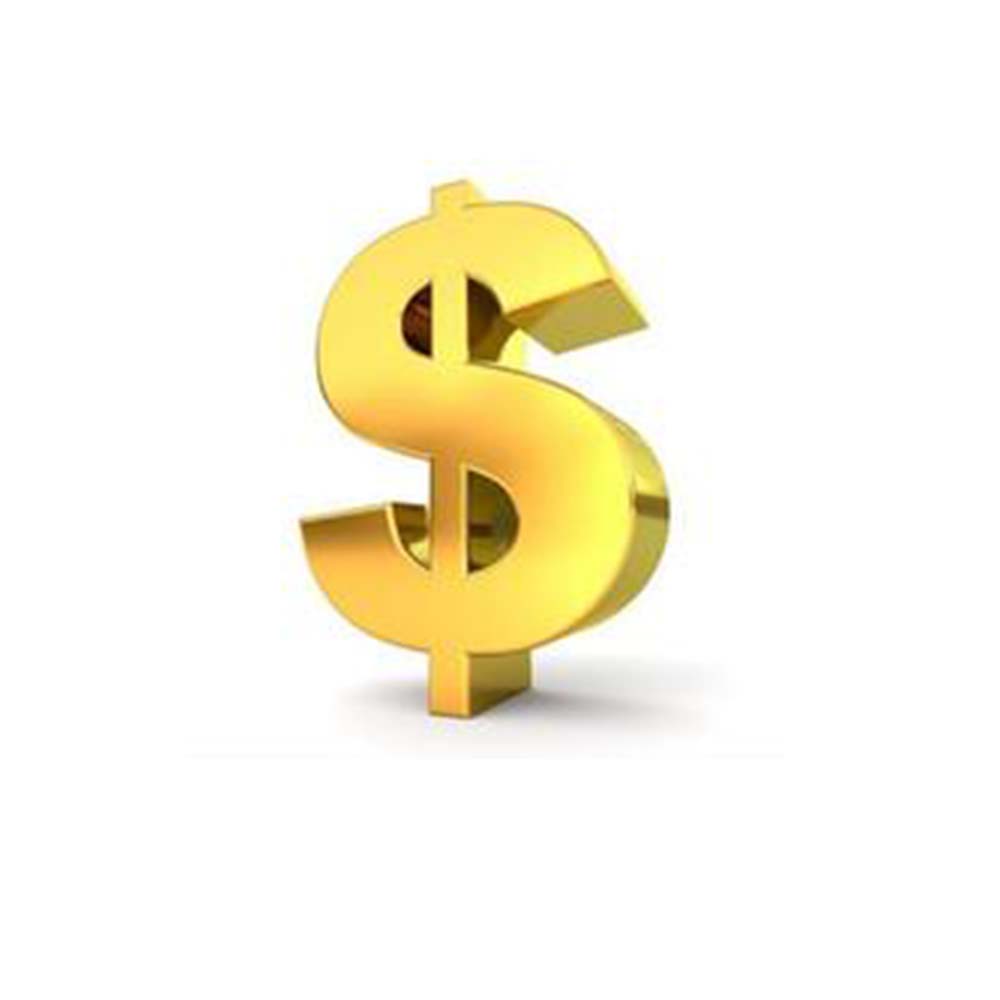 

Payment link for the order or payment difference OR Extra Shipping cost we agreed