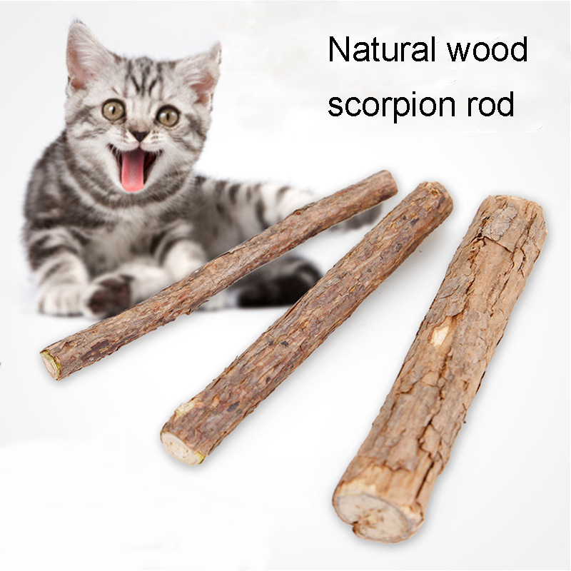 

Cat Cleaning Teeth Pure Natural Plant Catnip Pet Cat Molar Stick Toothpaste Matatabi Actinidia Fruit Cat Snacks Sticks Toy BH1713 CY