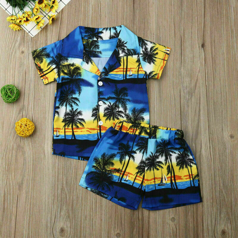 

Summer Toddler Kid Baby Boy Clothes Set Hawaii Beach Shirt Top Shorts Set, As pic
