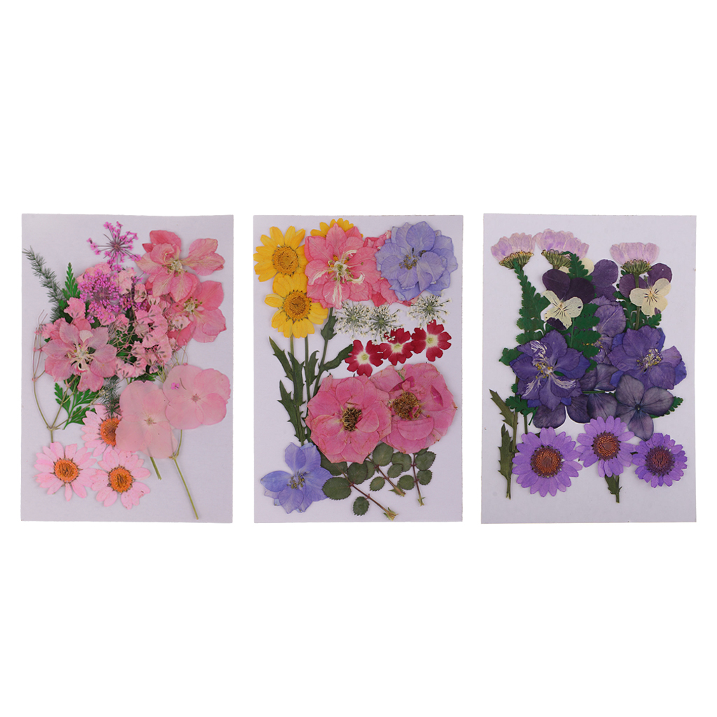 

3 pack multiple mix real natural dried flowers for diy resin casting ornaments