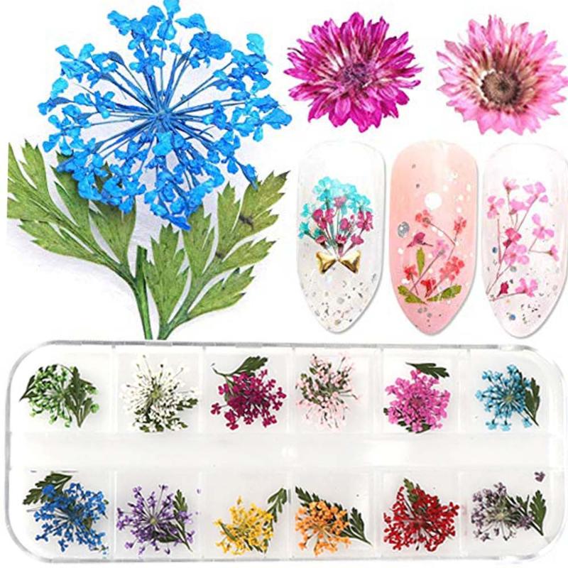 

12 compartments Mix Dried Flowers Nail Decorations Jewelry Natural Floral Leaf Stickers 3D Nail Art Art deco Designs