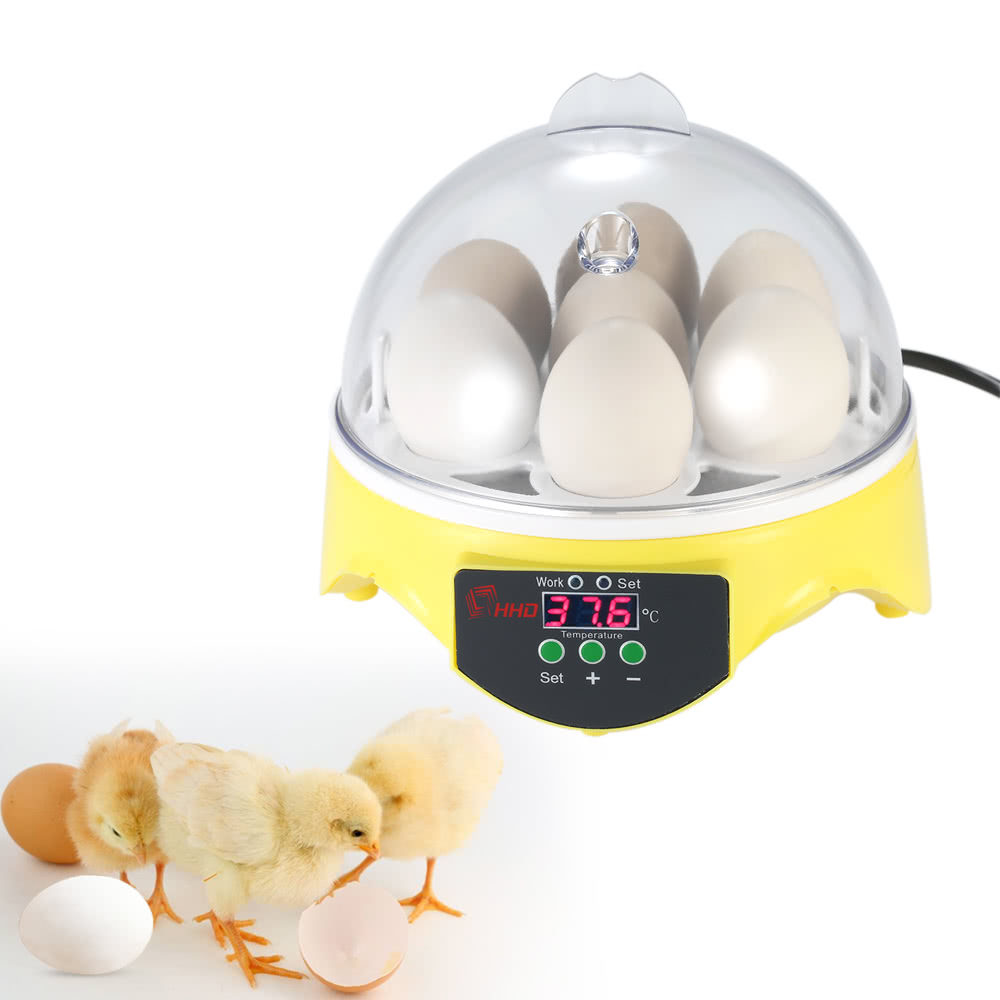 

Mini 7 Eggs Incubator Brood Machine for Chicken Duck Bird Egg Hatcher Automatic Temperature Control Incubator Brooder