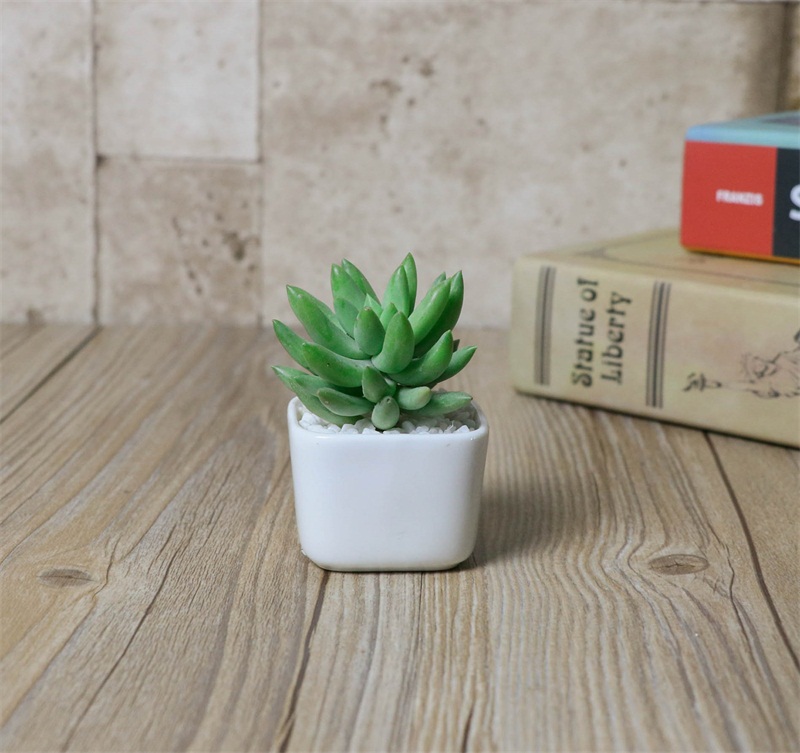 

Succulents Fleshy Plants Pot White Color Ceramics Simplicity Fashion Mini Flowerpot Office Desktop Decoration 1 78fy E1