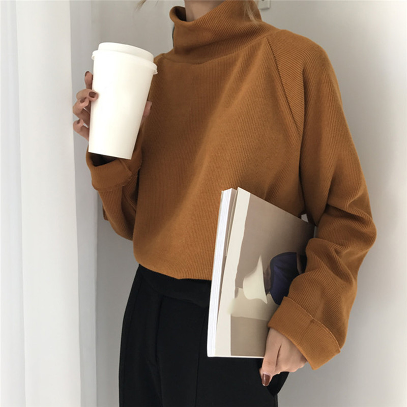 

Vintage Turtleneck Pullover Knitwear Long Sleeve Causal Sweater Women Korean Top Jumpers Pull Femme, White
