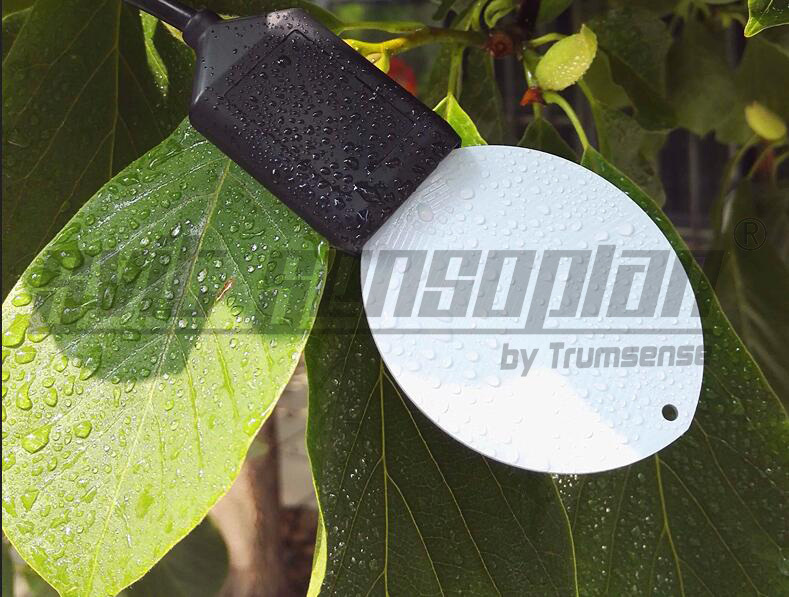 4 to 20MA Leaf Surface Humidity Sensor Leaf Surface Moisture Sensor Leaves Folium Recording Monitoring Meter Facory Low Price-image-463712399