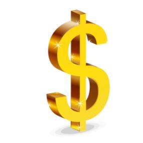 

special link for payment