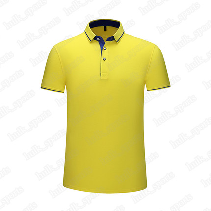 

2656 Sports polo Ventilation Quick-drying Hot sales Top quality men 201d T9 Short sleeve-shirt comfortable new style jersey1002508, Brown