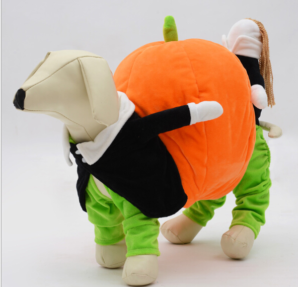 

new pet move the pumpkin clothes. The Halloween cute turned dog dummy carry funny costum, Multicolor