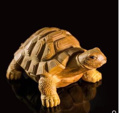 

Rich world turtle hand-carved fine carved wood diagrams dragon tortoise wooden carving Cute pocket rabbit home decoration statue