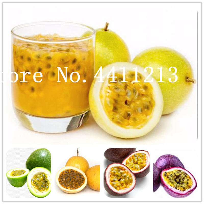 

20 Pcs Exotic Passion Fruit Bonsai plant seeds Purple Passiflora Edulis Passion Flower Bonsai delicious Fruit DIY Home Garden Free Shipping