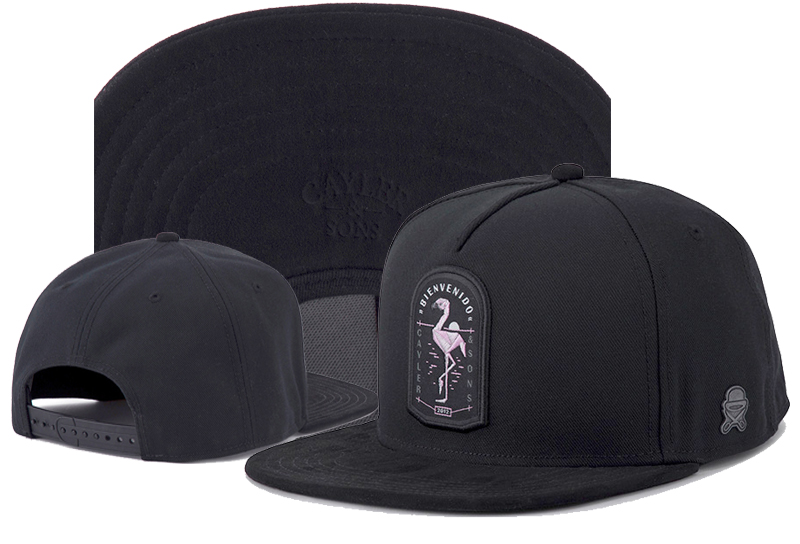 

2012 Cayler & Sons Bienvenido Snapback basketball Baseball Snapbacks Sports caps Men Women Hats casquette baseball Hat Cap New Casual Hat, As picture show