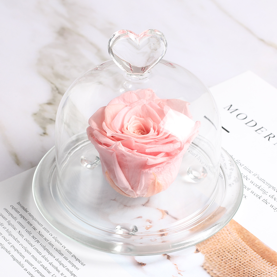 

Forever Flower In Glass Dome Preserved Eternal Real Rose Present Best Gift Thanksgiving Day Birthday Anniversary Valentine's Day, 04 mini