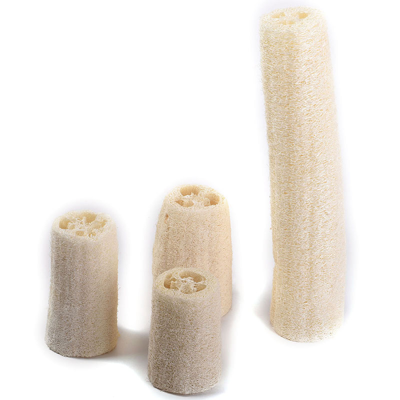 5Pcs Set Bain Douche Corps /éponge Scrubber luffa Naturel Luffa Loofa Bain Massage du Corps /éponge Scrubber Cuisine Chiffon Propre Vaisselle pour Salle de Bains Cuisine