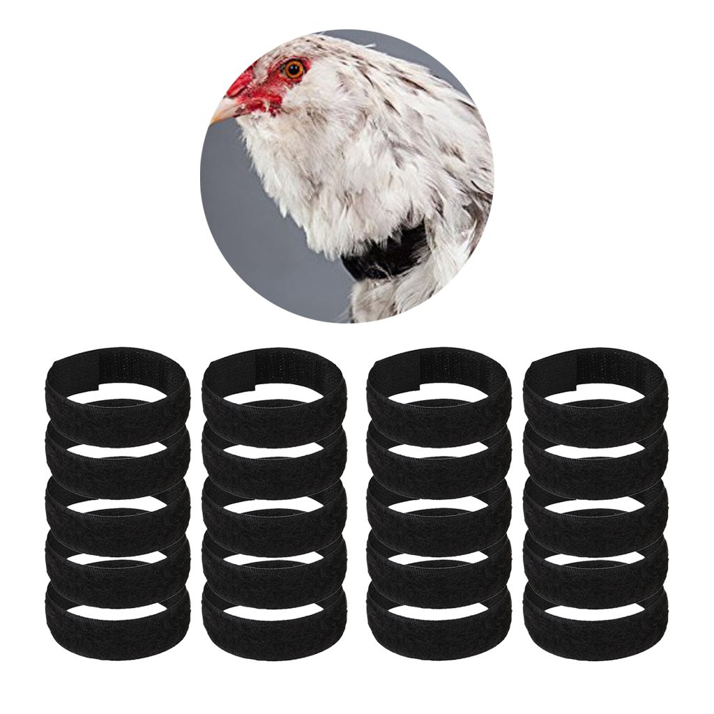 

20pcs no-crow rooster collar chicken collar for roosters poultry black