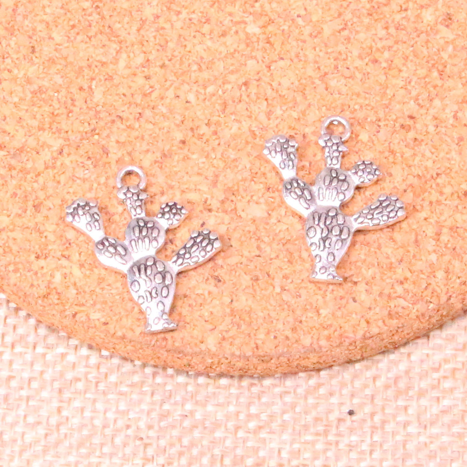 

63pcs Charms cactus desert 23*20mm Antique Making pendant fit,Vintage Tibetan Silver,DIY Handmade Jewelry, Bronze;silver