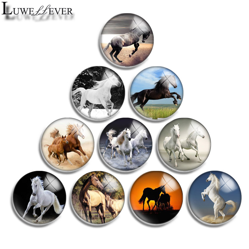 

10mm 12mm 14mm 16mm 20mm 25mm 30mm 564 Horse Round Glass Cabochon Jewelry Finding Fit 18mm Snap Button Charm Bracelet Necklace