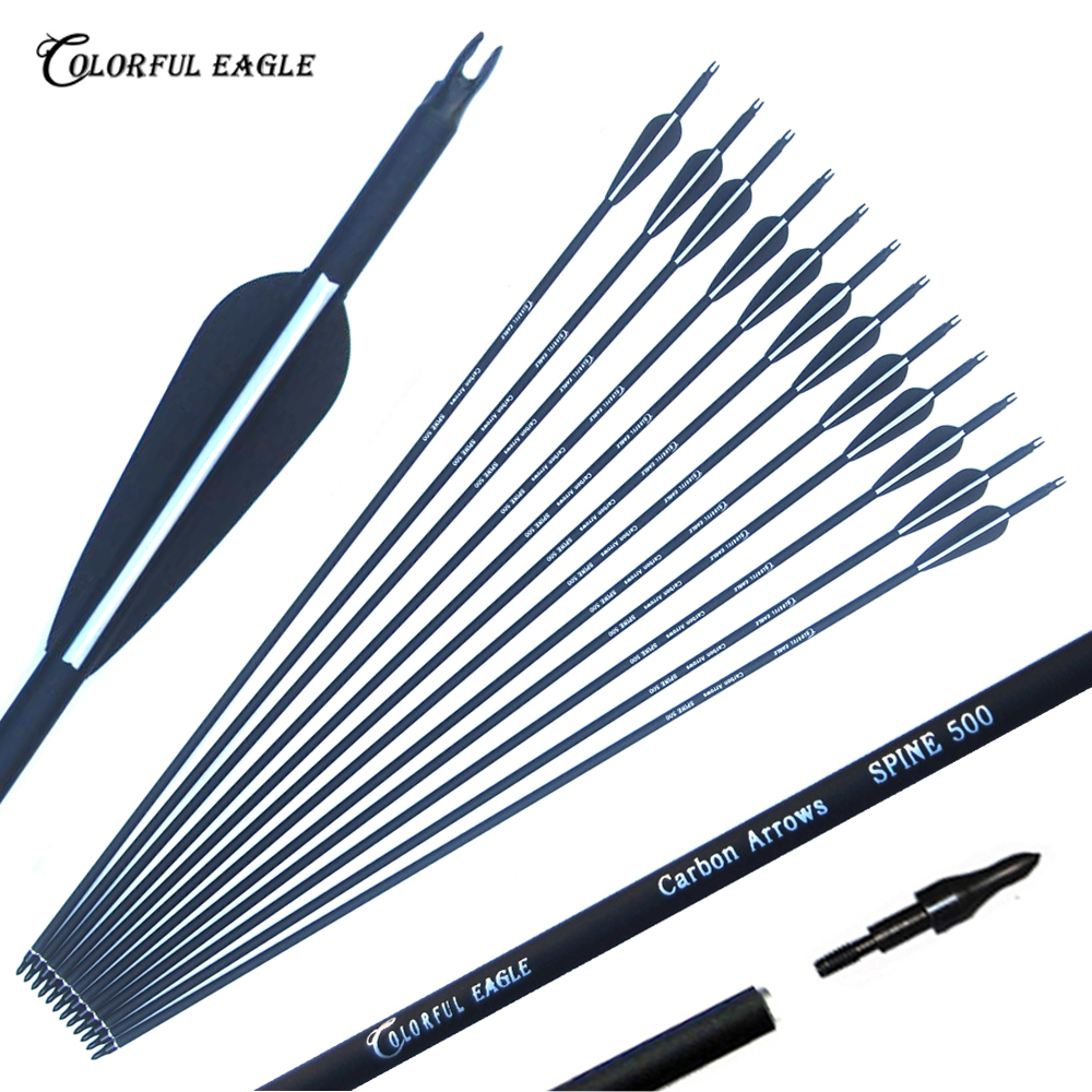 

Replaceable 28/30/31 inch Spine 500 Archery Carbon Arrow for Compound & Recurve Bow Hunting and Archery Shooting Target