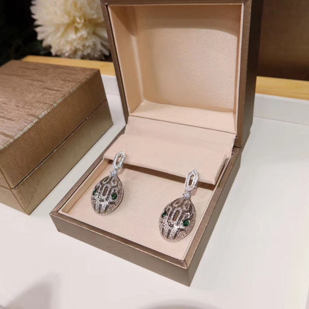 

Fashion trend personality allergy prevention 925 silver needle Earrings hollow Snake Lady Earrings Free delivery high quality gift popular