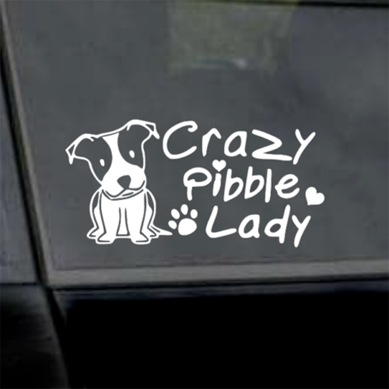 Vinyl Decal Sticker One Cat Short of a Crazy Lady Car Truck Bumper JDM Fun 7/"